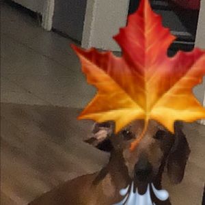 Meet your Posher, Seth